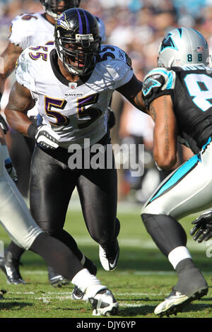 Novembre 21, 2010; Baltimore Ravens linebacker Terrell Suggs (55) Le tasse in presso la Bank of America Stadium di Charlotte, NC. Punteggio ottenuto a metà è corvi 17 - Carolina 3. Jim Dedmon/CSM(Immagine di credito: © Jim Dedmon/Cal Sport Media/ZUMAPRESS.com) Foto Stock