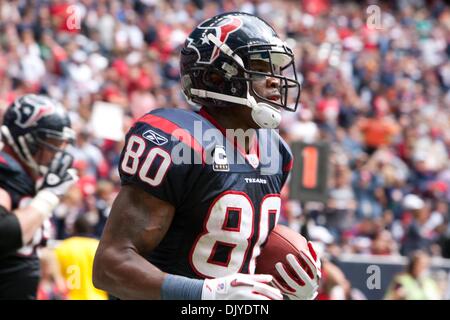 Nov. 28, 2010 - Houston, TX, Stati Uniti d'America - Texans WR (80) Andre Johnson jogging al banco dopo aver segnato nel primo trimestre. Texans sconfitto i titani 17-0 (credito Immagine: © Juan DeLeon/Southcreek globale/ZUMAPRESS.com) Foto Stock