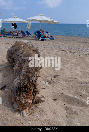 Driftwood sulla spiaggia di Skala Kefalonia in Grecia Foto Stock