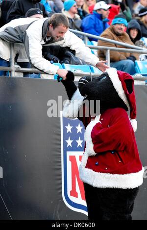 Dic. 19, 2010 - Charlotte, North Carolina, Stati Uniti d'America - Carolina Panthers mascotte scuote le mani con un entusiasta.Panthers sconfiggere i Cardinali 19-12 presso la Bank of America Stadium a Charlotte nella Carolina del Nord. (Credito Immagine: © Anthony Barham/Southcreek globale/ZUMAPRESS.com) Foto Stock