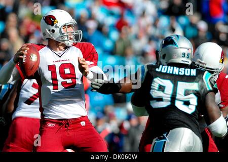 Dic. 19, 2010 - Charlotte, North Carolina, Stati Uniti d'America - Arizona Cardinals quarterback John Skelton (19) scende di nuovo per passare.Panthers sconfiggere i Cardinali 19-12 presso la Bank of America Stadium a Charlotte nella Carolina del Nord. (Credito Immagine: © Anthony Barham/Southcreek globale/ZUMAPRESS.com) Foto Stock