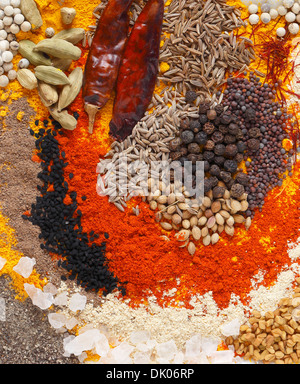 Colorfil spezie usate in India e in altri di cucina asiatica Foto Stock