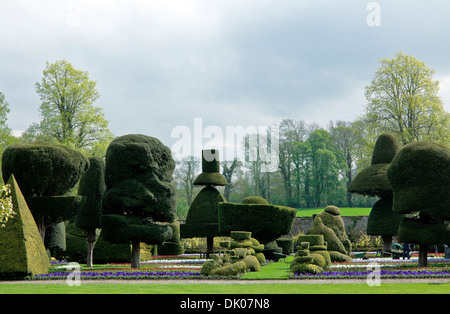 Il famoso Topiaria da giardino di Levens Hall, Kendal Lake District, Inghilterra, Gran Bretagna, Regno Unito. Foto Stock