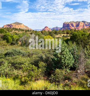 Vista di Red Rock Landscape, Sedona, in Arizona Foto Stock