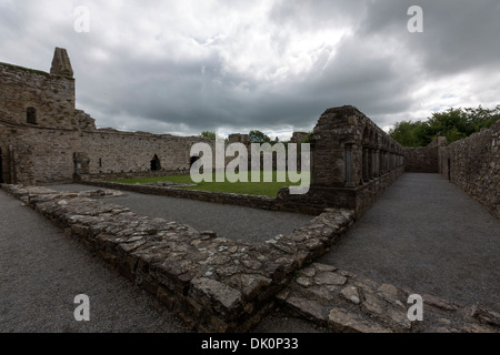 Abbazia di Jerpoint chiostro, una rovina abbazia cistercense, fondata nella seconda metà del XII secolo. L'Irlanda Foto Stock