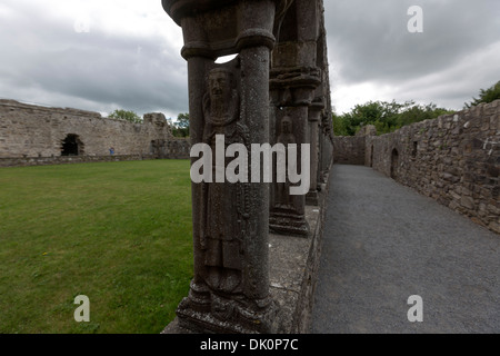 Abbazia di Jerpoint chiostro, una rovina abbazia cistercense, fondata nella seconda metà del XII secolo. L'Irlanda Foto Stock