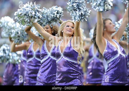 Ft. Vale la pena, TX, Stati Uniti d'America. 30 Novembre, 2013. La TCU cornuto rane Showgirls eseguire durante un NCAA Football gioco tra il cornuto le rane e il Baylor porta ad Amon G. Carter Stadium di Ft. Vale la pena, Texas, Sabato 30 Novembre, 2013. Credito: csm/Alamy Live News Foto Stock