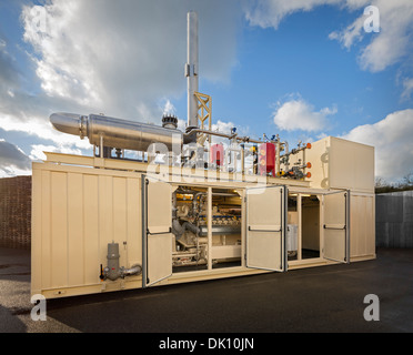 Un containerizzati stazione di alimentazione per consentire il recupero di biogas da fermentazione di discarica. Bio motore a gas e la cogenerazione. Foto Stock