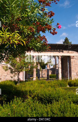 Giardino della Casa del Fauno danzante nelle rovine di una volta città sepolta di Pompei Italia Foto Stock