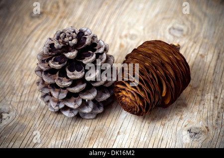 Pino e cedro di rocche su sfondo di legno Foto Stock