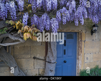 Il Glicine sulla parete del cottage storico al tramonto nel centro del villaggio di Broadway Cotswolds Inghilterra WORCESTERSHIRE REGNO UNITO Foto Stock