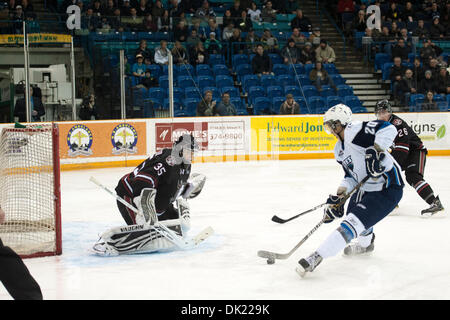 1 febbraio 2011 - Saskatoon, Saskatchewan, Canada - Lame di Saskatoon ailier diritto Josh Nicholls (#20) va al net peccato azione durante le lame di Saskatoon vs Red Deer ribelli gioco a Credit Union Centre di Saskatoon. (Credito Immagine: © Derek Mortensen/Southcreek globale/ZUMAPRESS.com) Foto Stock