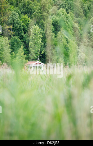 Rosso piccolo cottage isolato nella lussureggiante foresta verde, Svezia Foto Stock