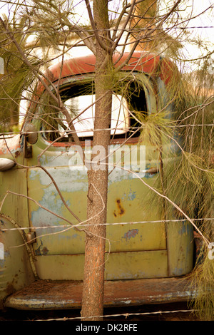 Verde arrugginito abbandonato carrello dietro tree Foto Stock