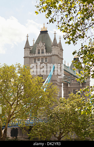 Gli alberi di fronte al Tower Bridge, London, England, Regno Unito Foto Stock