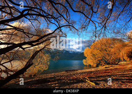 Il lago di Wakatipu Wilson Bay Foto Stock