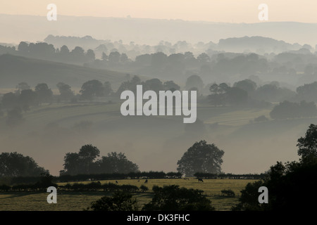 Alba rompe su tarda estate nebbia di mattina visto da di Thorpe pascolo guardando verso Tissington nel Derbyshire Peak District. Foto Stock