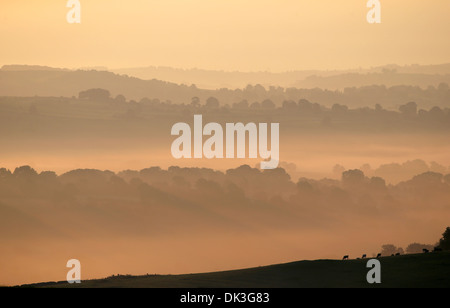 Alba rompe su tarda estate nebbia di mattina visto da di Thorpe pascolo guardando verso Tissington nel Derbyshire Peak District. Foto Stock