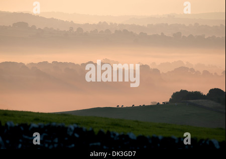 Alba rompe su tarda estate nebbia di mattina visto da di Thorpe pascolo guardando verso Tissington nel Derbyshire Peak District. Foto Stock