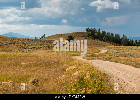 Scenario stradale che circonda l'Altopiano Blacktail drive, nel Parco Nazionale di Yellowstone. Foto Stock