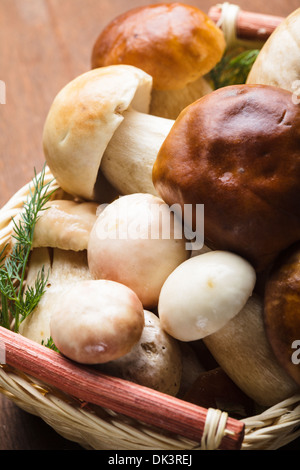 Il CEPS nel cesto preparato per la cottura sul tavolo Foto Stock