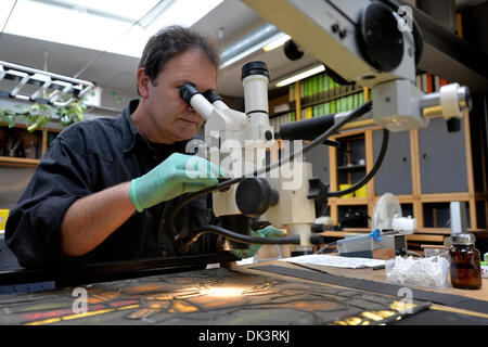 Erfurt, Germania. 27 Nov, 2013. Thomas Vetro, vetraio e restauratore nel laboratorio di vetro della Cattedrale di Erfurt, pulisce un costruito fuori della finestra della Cattedrale di Erfurt, Germania, 27 novembre 2013. Il restauro della Cattedrale di una finestra che è costituita da un centinaio di riquadri singolo dura circa due anni. Le finestre sono state realizzate negli anni tra il 1380 e il 1420. Foto: Marc Tirl/ZB/dpa/Alamy Live News Foto Stock