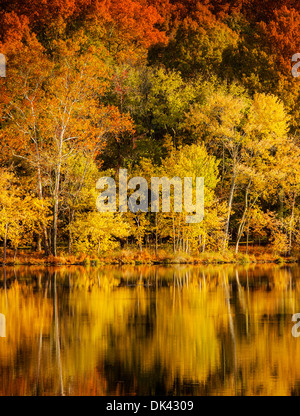 Colore di autunno a Radnor Lake, Nashville Tennessee, USA Foto Stock