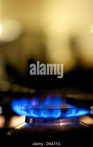 La fiamma blu da un fornello a gas Foto Stock