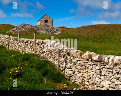 Tradizionale campo fienile con stalattite muro fatto di calcare nei pressi di Wirksworth nel Derbyshire Dales Peak District Inghilterra REGNO UNITO Foto Stock