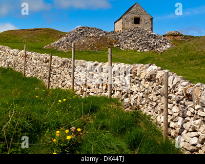 Tradizionale campo fienile con stalattite muro fatto di calcare nei pressi di Wirksworth nel Derbyshire Dales Peak District Inghilterra REGNO UNITO Foto Stock