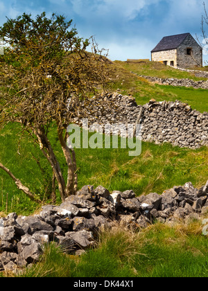 Tradizionale campo fienile con stalattite muro fatto di calcare nei pressi di Wirksworth nel Derbyshire Dales Peak District Inghilterra REGNO UNITO Foto Stock