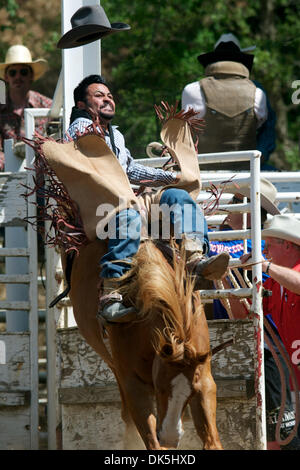 7 maggio 2011 - Sonora, California, Stati Uniti - Cesar ''Kid'' Banuelos di Los Angeles, CA rides bella Disaster presso la Madre Lode Round-Up in Sonora, CA. (Credito Immagine: © Matt Cohen/Southcreek globale/ZUMAPRESS.com) Foto Stock