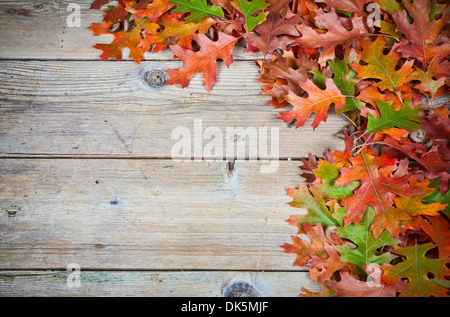 In autunno le foglie di quercia su un vecchio sfondo di legno. Foto Stock