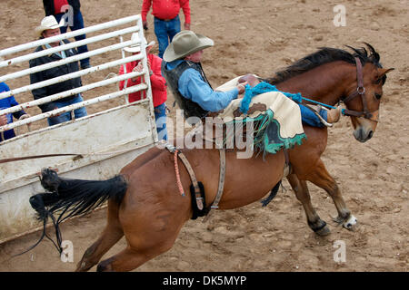 8 maggio 2011 - Sonora, California, Stati Uniti - Mert Bradshaw di Eagle Point, o passeggiate nella casella in alto dello scivolo alla Madre Lode Round-Up in Sonora, CA. (Credito Immagine: © Matt Cohen/Southcreek globale/ZUMAPRESS.com) Foto Stock