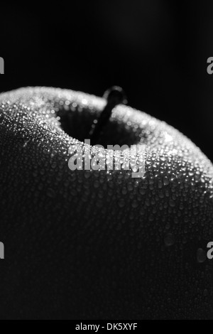 Arty versione di una immagine ad umido di un Apple, in bianco e nero Foto Stock