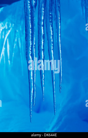 L'Antartide, Close-up di ghiaccioli pendenti dal tetto della caverna di ghiaccio lungo la Penisola Antartica Foto Stock
