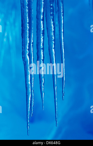 L'Antartide, ghiaccioli pendenti dal tetto di ghiaccio del ghiacciaio grotta di stretto di Gerlache lungo la Penisola Antartica Foto Stock
