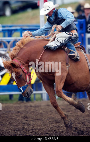 28 maggio 2011 - Marysville, CALIFORNIA, STATI UNITI - Giovanni Redig di Las Vegas, nanovolt rides 311 al Marysville Stampede a cotone Rosser Arena in Marysville, CA. (Credito Immagine: © Matt Cohen/Southcreek globale/ZUMAPRESS.com) Foto Stock