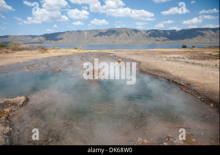 Vapore sorge dal lago Bogoria hot springs in Kenya Foto Stock