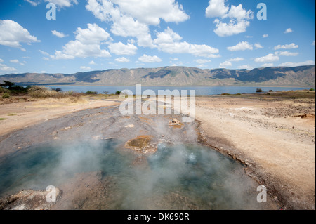 Vapore sorge dal lago Bogoria hot springs in Kenya Foto Stock