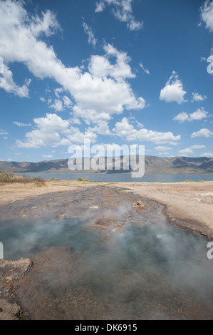 Vapore sorge dal lago Bogoria hot springs in Kenya Foto Stock