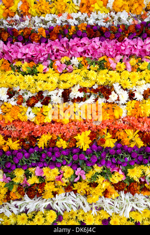 Indiano colorate ghirlande di fiori pattern Foto Stock