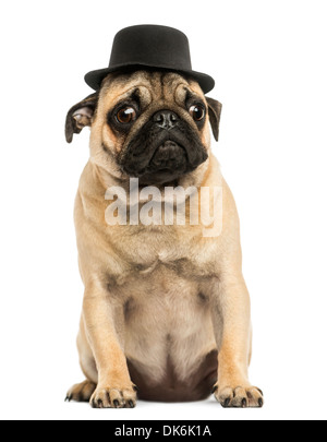 Vista frontale di un Pug cucciolo indossando un cappello a cilindro, seduti, 6 mesi di età, contro uno sfondo bianco Foto Stock