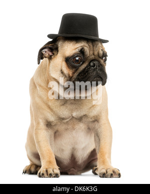 Vista frontale di un Pug cucciolo indossando un cappello a cilindro, seduti, 6 mesi di età, contro uno sfondo bianco Foto Stock