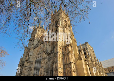Il fronte occidentale di York Minster, Cattedrale Gotica, York City, nello Yorkshire, Inghilterra, Regno Unito, Gran Bretagna, Europa Foto Stock