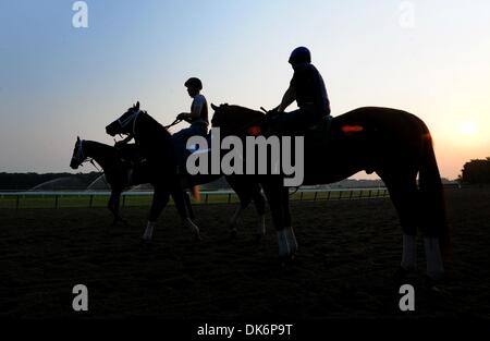 Giugno 9, 2011 - Elmont, New York, Stati Uniti - Cavalli sulla via principale di questa mattina davanti a questo sabato in esecuzione del 143Belmont Stakes. (Credito Immagine: © Bryan Smith/ZUMAPRESS.com) Foto Stock