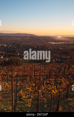 Tramonto sul vigneto italiano in autunno