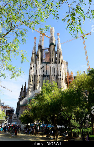 La Sagrada Familia di Barcellona, Spagna. La Sagrada Família chiesa, Barcellona, Spagna Foto Stock