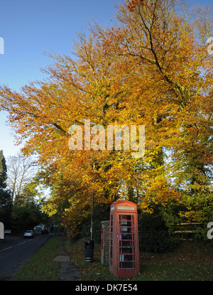 Autunno alberi e Telefono rosso Box Sevenoaks Kent England Foto Stock