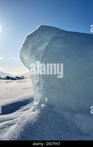 Il ghiaccio da congelati nel pack di ghiaccio, Spitsbergen, Svalbard, Norvegia. Foto Stock